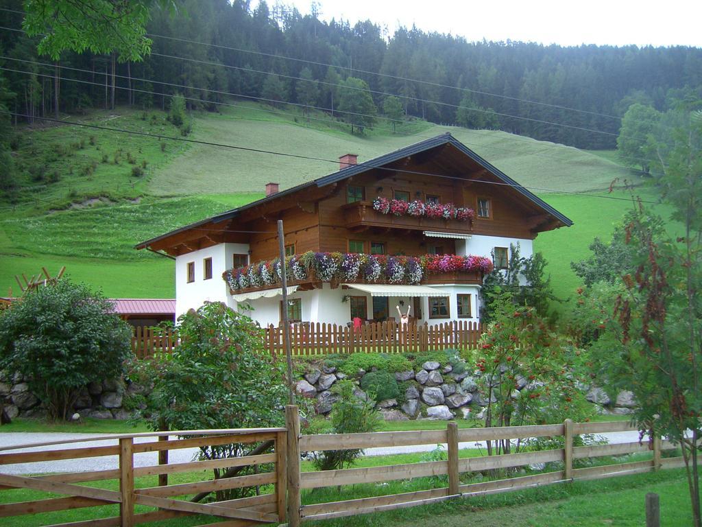 Untersteinhof Apartment Forstau  Exterior photo